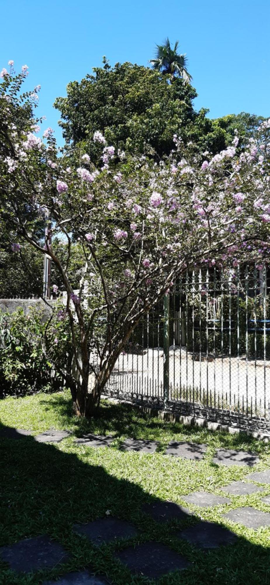 Casa Agradavel *